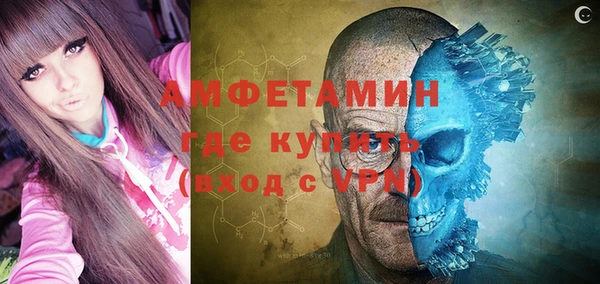 крисы Верхний Тагил
