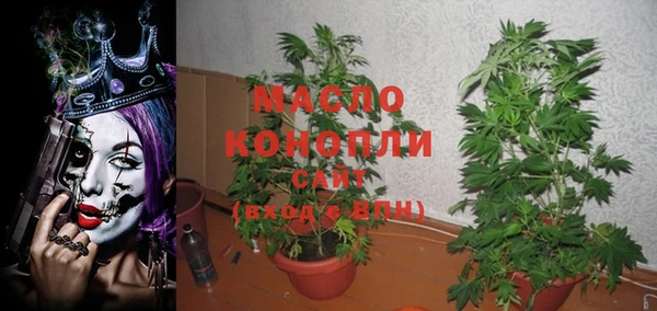 крисы Верхний Тагил