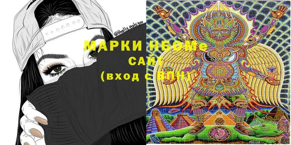 крисы Верхний Тагил