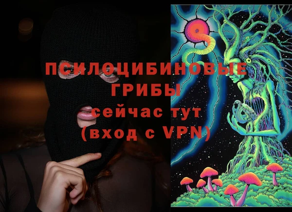 крисы Верхний Тагил
