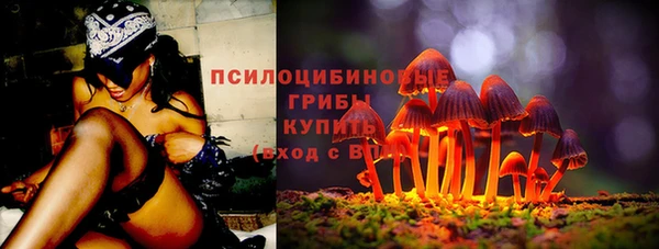 Альфа ПВП Дмитров