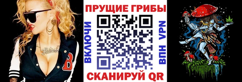 Галлюциногенные грибы GOLDEN TEACHER  Купить закладки  Константиновск 